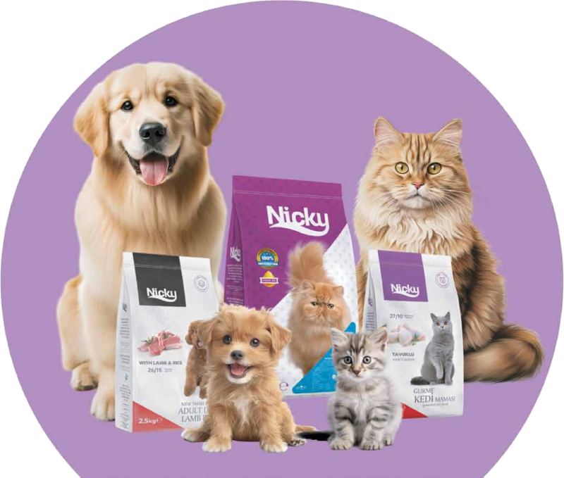 Nicky kedi ve köpek mamaları ürün ailesi