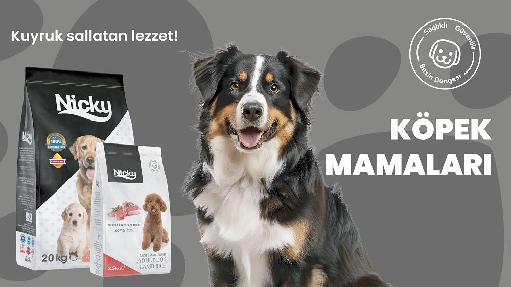 NickyPlus köpek mamaları